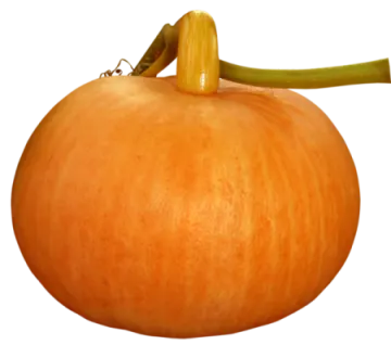a close up view of an orange pumpkin