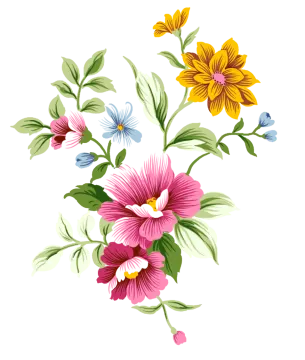 a bouquet of flowers on a white background