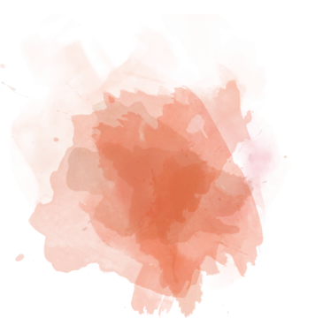 an orange flower on a white background