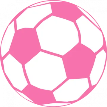 a pink soccer ball on a white background