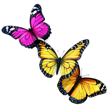 two colorful butterflies flying in the air