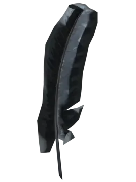 a black feather on a white background
