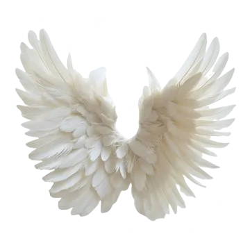 a white bird with wings on it's back