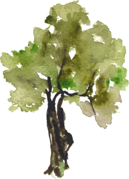 a watercolor painting of a tree