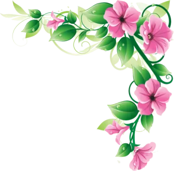 a pink flower border with green leaves