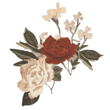 a red rose with white flowers and green leaves