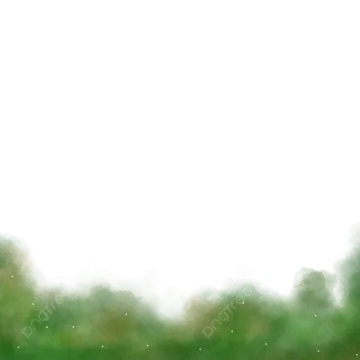 a white background with green grass and trees