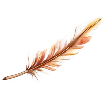 a watercolor feather on a white background