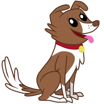 a brown and white dog with a red collar