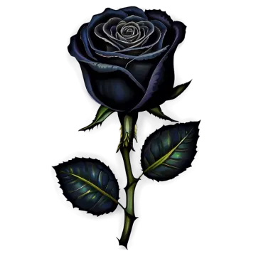 a black rose on a white background