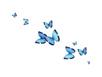 a group of blue butterflies flying in the air