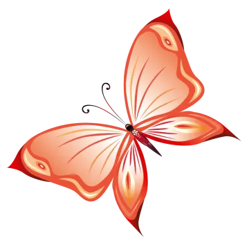 an orange butterfly on a white background
