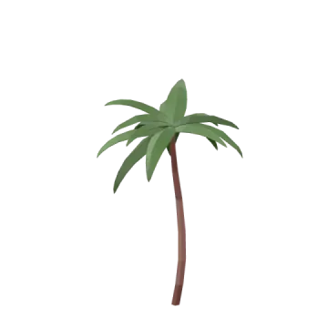a palm tree on a white background