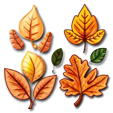 a set of autumn leaves