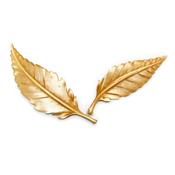 a golden leaf on a white background