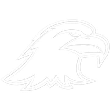 a drawing of an eagle's head