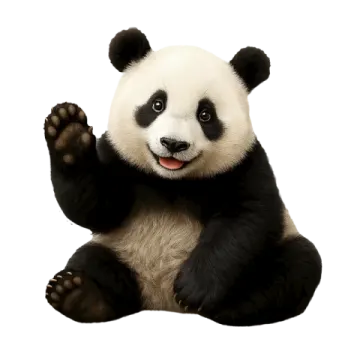 a black and white panda bear