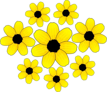 a bunch of yellow flowers