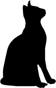 a cat silhouetted on a white background