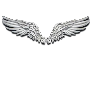 a pair of wings on a white background