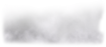 a black and white photo of a person in the fog