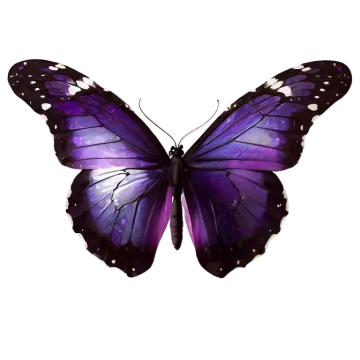 a purple butterfly on a white background