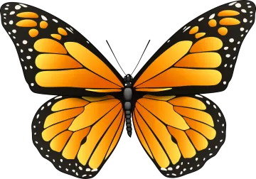a monarch butterfly clipart