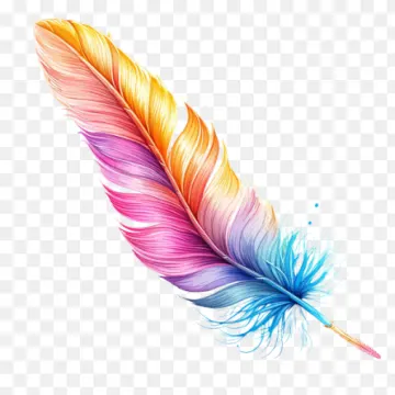 a colorful feather on a transparent background