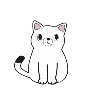 a black and white cat sitting on the ground