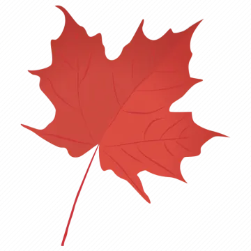a red maple leaf on a white background