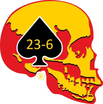 a skull with a playing card in the middle of it