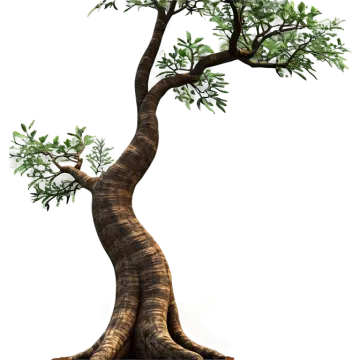 a tree with green leaves growing on it