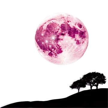 a tree and a pink moon in the sky