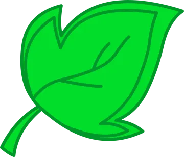 a green leaf
