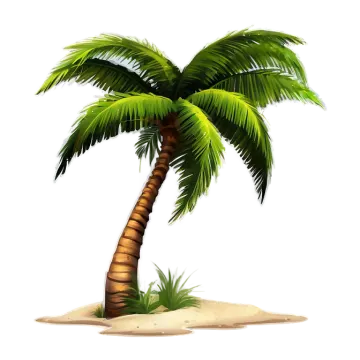 a palm tree on an island with sand