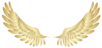 a pair of golden wings