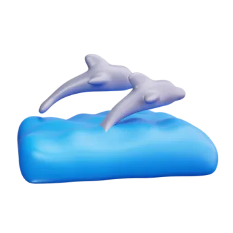 a dolphin floating on top of a pillow
