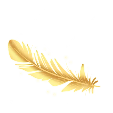 a golden feather on a white background