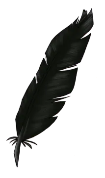 a black feather on a white background