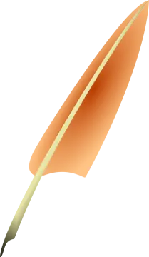 a brown feather on a white background