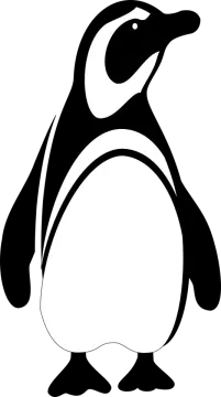 a black and white penguin on a white background