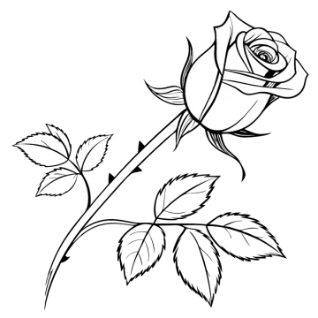 a rose flower with leaves on the stem