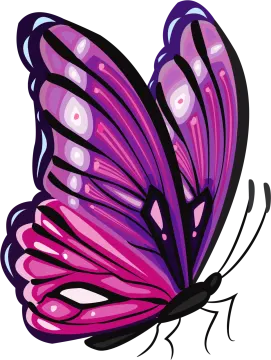 a purple butterfly on a white background