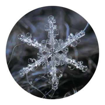 an image of a snowflorer