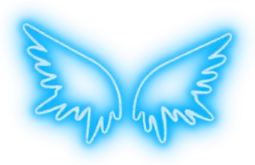 a blue butterfly with white wings