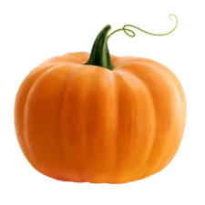 a small orange pumpkin on a white background