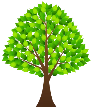 a tree with green leaves