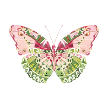a pink and green butterfly on a white background