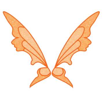 a pair of wings on a white background