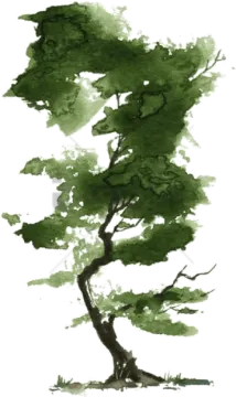a watercolor painting of a tree